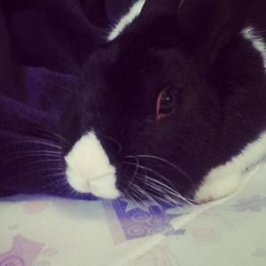 Meet your Posher, Milly